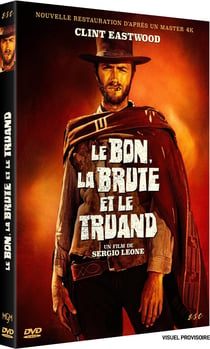 Le Bon, la Brute et le Truand