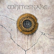 Slip Of The Tongue - édition 180g