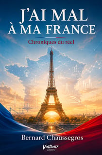 J'ai mal à ma France : Chroniques du réel 3