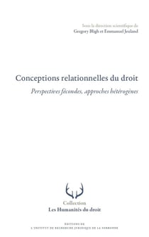 Conceptions relationnelles du droit : Perspectives fécondes, approches hétérogènes