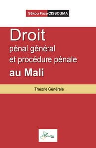 Droit pénal général et procédure pénale au Mali : Théorie Générale