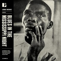 Blues In The Mississippi Night