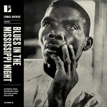 Blues In The Mississippi Night