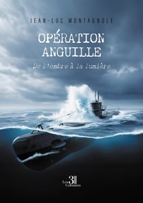 Opération anguille : De l'ombre à la lumière