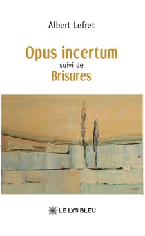 Opus incertum suivi de  Brisures