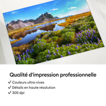 Set de feuilles de stickers et de papier photo Cricut - 36 feuilles autocollantes - Blanc brillant - 10,2 x 17,8 cm / 10,2 x 15,2 cm