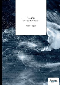 Fissures : Entre bruit et silence