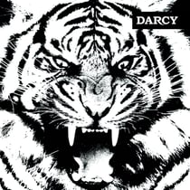 Tigre - édition colorée
