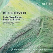 Late Works For Flute And Piano