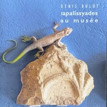 Lapalissyades au musée