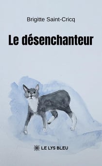 Le désenchanteur