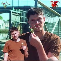Smokes And Mirrors