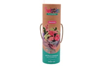 Kit fils chenille bouquet Aurora Twisties - Enjoy Art
