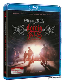 Stray Kids - The dominATE Experience