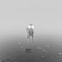III
