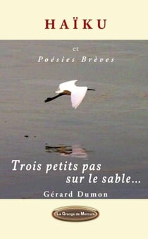 Trois petits pas sur le sable...