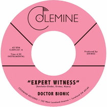 Expert Witness + Mistake