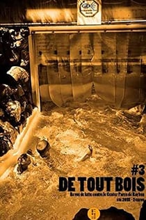 DE TOUT BOIS : NA 3. REVUE DE LUTTE CONTRE LE CENTER PARCS DE ROYBON