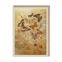 Carte de vœux Ohh Deer - Papillons