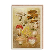 Carte de vœux Ohh Deer - Champignons