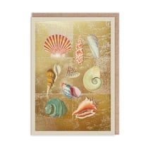 Carte de vœux Ohh Deer - Collection de coquillages