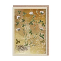 Carte de vœux Ohh Deer - Trèfles
