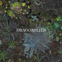 Dragonflies