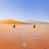 Insight Out - édition colorée