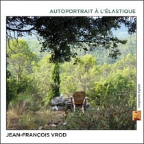 Autoportrait à l'élastique