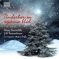 Underbar En Stjärna Blid