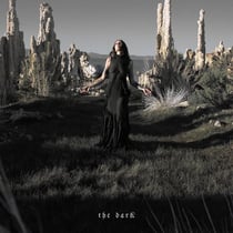 The Dark