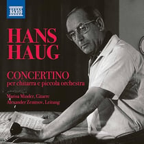 Haug: Concertino