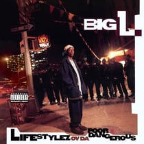 Lifestylez Ov Da Poor & Dangerous