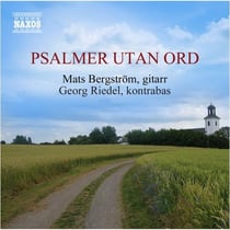 Psalmer Utan Ord