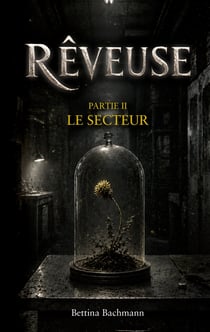 Reveuse - le secteur
