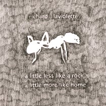 A Little Less Like A Rock A Little More Like Home (Import)