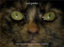 Nan goldin you never did anything wrong /anglais
