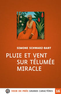 Pluie et vent sur Télumée Miracle