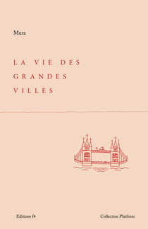 La vie des grandes villes - Chronique du succès sans triomphe, des relations à distance dans le chaos des grandes métropoles