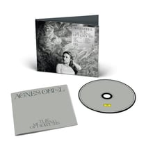 The Meaning of Flowers - CD
