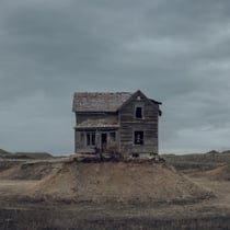 The Precariat - Vinyle