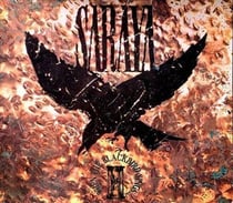 When The Blackbird Sings