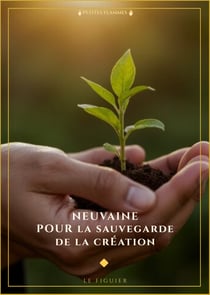 Neuvaine pour la sauvegarde de la Création