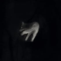 Nachtlund