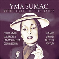 Nightingale of the Andes