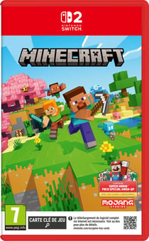 Minecraft (comprend Super Mario Pack Spécial Mash-Up)