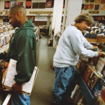 Endtroducing..... - Vinyle
