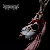 Echoes of a Forlorn Land - édition limitée - CD