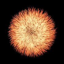 Cosmogonia - Vinyle