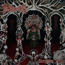 Sanguine Vigil - Vinyle